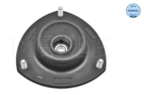 Federbeinstützlager