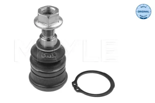 Trag-/Führungsgelenk