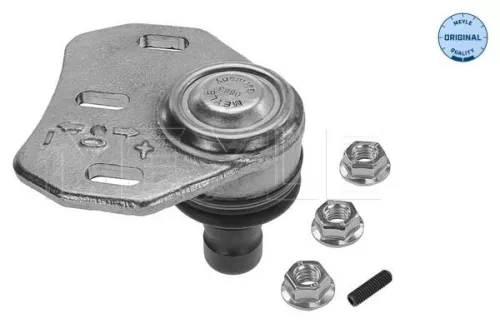 Trag-/Führungsgelenk