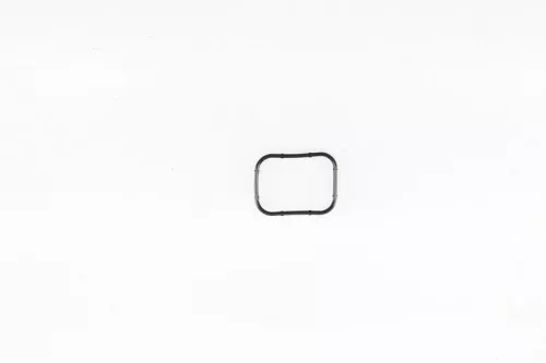 Dichtung, Ansaugkrümmer