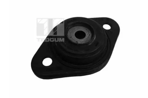 Federbeinstützlager